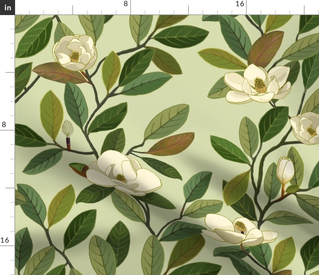 wall of southern Magnolia Grandiflora flowers smaller and more saturated color