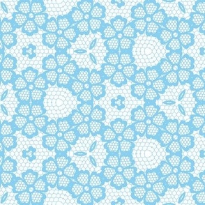 Baby Blue Lace Floral