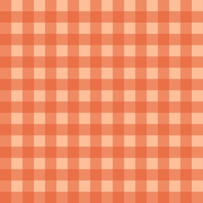 1 in - Gingham check - orangeade and peach fuzz light orange