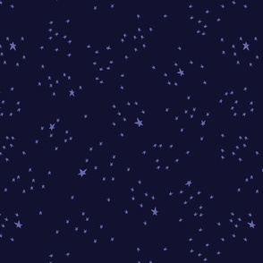 Twinkle Stars Nocturne Colorway