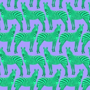 Green and Purple Zebras