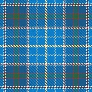 Texas Official State Tartan Plaid