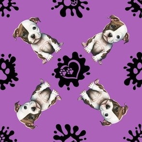 Puppy Love 23 Pit Bull Terrier Purple