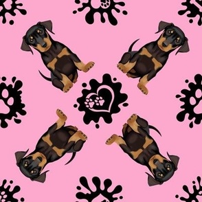 Puppy Love 24 Doberman Pink