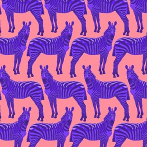 Purple and Coral Zebras