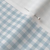 1/4" check fabric - gingham fabric -blue