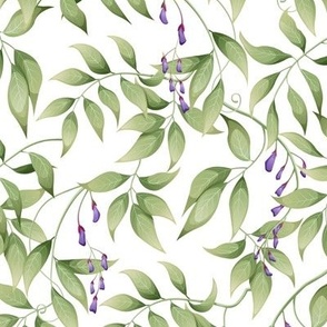 Watercolor Lilac Wisteria Bud Vines on White