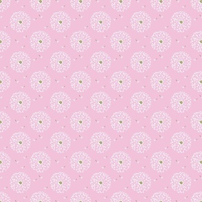  dandelion puff against pink blush background Polka Dot