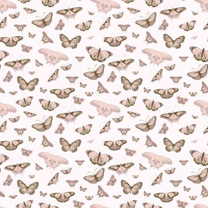 Butterflies on Pink- Medium 9"x9"