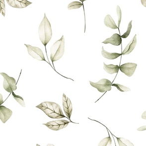 jumbo // greenery, nursery, botanical, watercolor greenery aesthetic,  eucalyptus leaves on white // edition 1