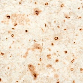 Flour tortilla texture pattern