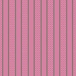 Ammonite Matching Set Stripes - Sea Pink - small scale 2 inches