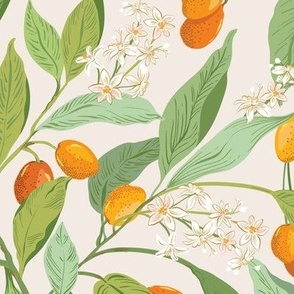 Little Orange Citrus fruit_kumquats  Cream
