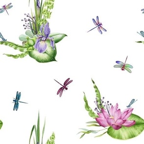 Dragonflies  and Lily Pads 1