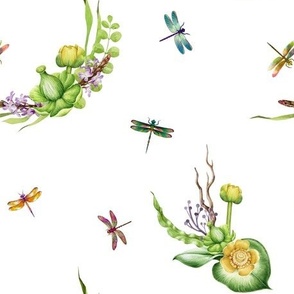 Dragonflies and Lily Pads 2