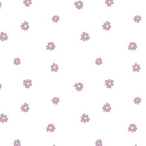 baby mauve color small flowers micro ditsy daisies on white background
