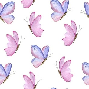 Purple and Pink Butterflies on White (MEDIUM)
