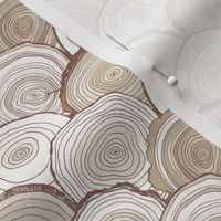 tree rings scallop cool