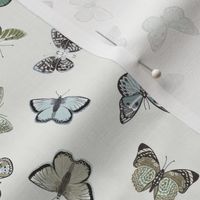 SMALL  blue butterflies fabric - blue and green butterfly interiors