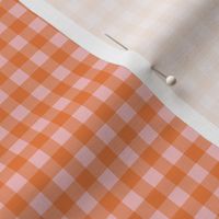 1/4 " pink gingham fabric - spring coordinate gingham check