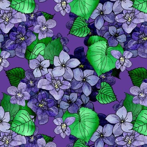 Violets (large scale) 