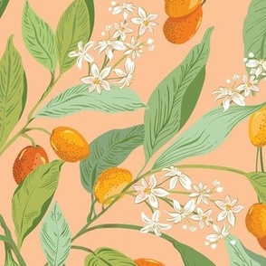 Little Orange Citrus fruit_kumquats Coral Orange