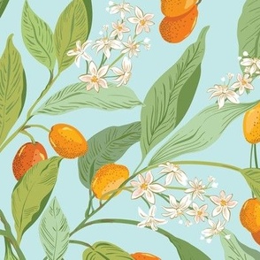 Little Orange Citrus fruit_kumquats light aqua