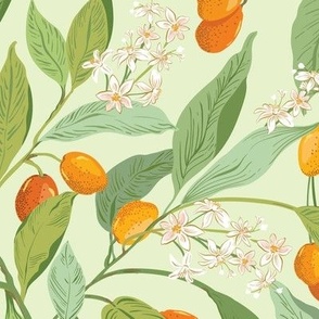 Little Orange Citrus Fruit _Kumquats lime