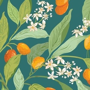 Little Orange Citrus fruit_kumquats TEAL