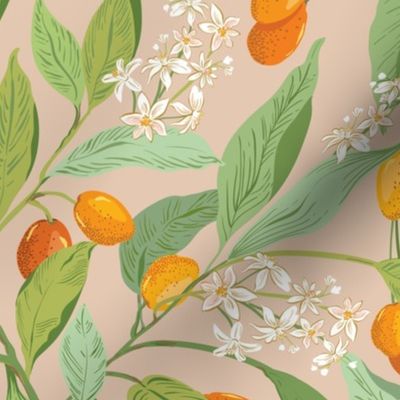 Little Orange Citrus fruit_kumquats blush beige