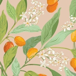 Little Orange Citrus fruit_kumquats blush beige