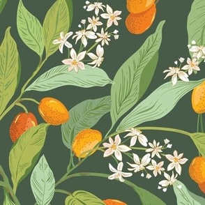 Little Orange Citrus fruit_kumquats Geen