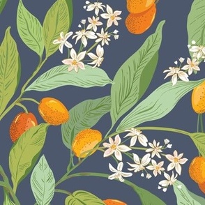 Little Orange Citrus fruit_kumquats  blue