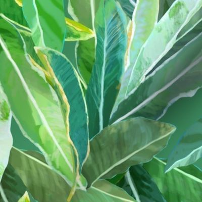 Hawaiian Ginger Leaves Tossed Green 150L