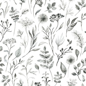 Neutral dry Wildflowers and herbs. Watercolor black and white hand painted