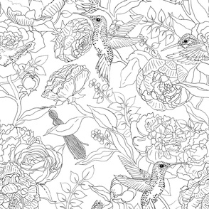 Hummingbirds And Flowers Line Art Botanical