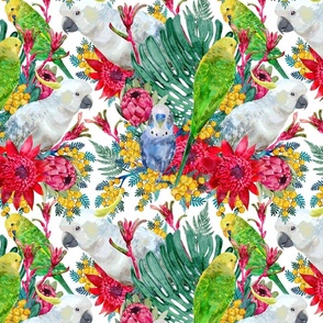 Australian Summer Tropical Parrot Pattern