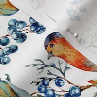 Cute Woodland Birds with Berries on White