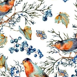 Cute Woodland Birds with Berries on White