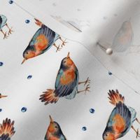 Funny watercolor birds on white