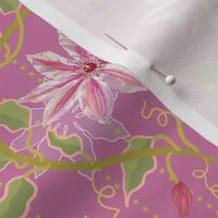 trailing  watercolor Clematis on pink