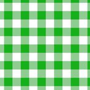 Green and White Buffalo Check Gingham Plaid