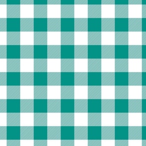 Teal and White Buffalo Check Gingham Plaid