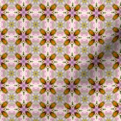 Solanum pattern I