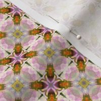 Solanum pattern I