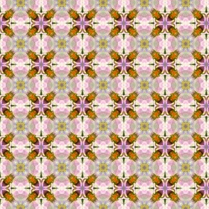 Solanum pattern I