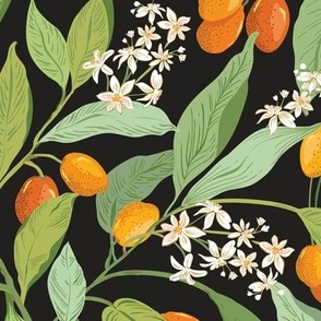Little orange citrus fruits_kumquats Black