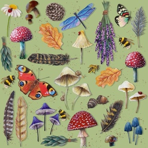 Mushrooms and Insects Drawing on Sage Green-  Nature's Garden Visitors