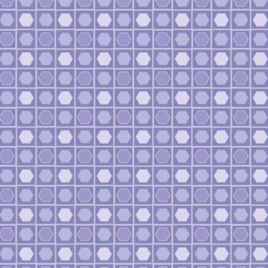 Lavender Hexagons in Squares