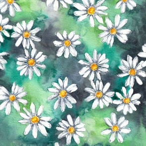 daisies watercolor
